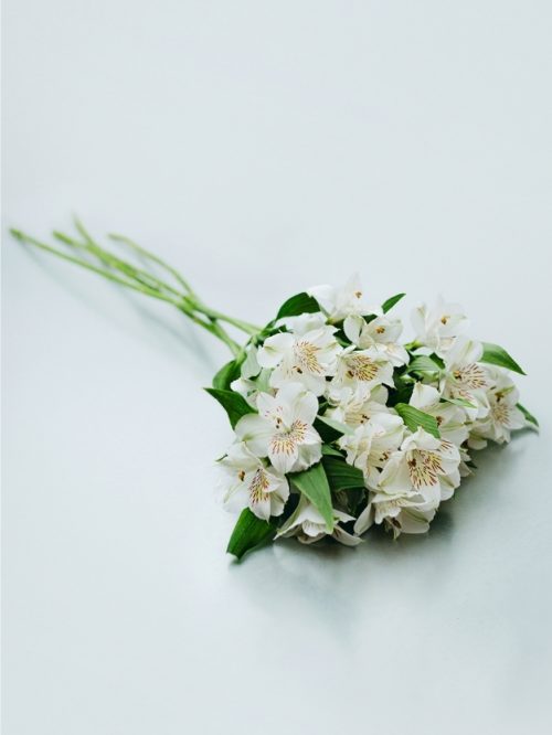 Ramo flores alstroemerias blancas detalle bonito