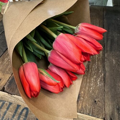 Ramo tulipanes rojos