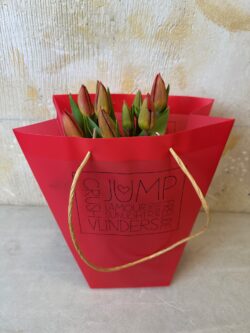 Bolsa regalo Tulipán blanco