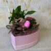 Corazón plantas